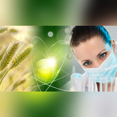 Raffia Tape Stretching Plant